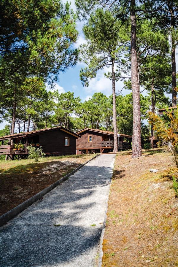 Residence Les Sentes Carcans Exterior photo